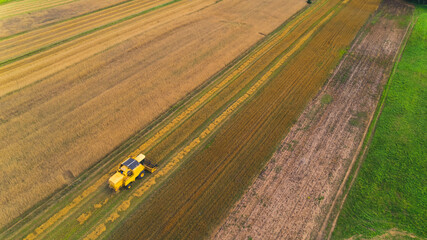 A yellow combine harvester in a grain field. Agriculture harvesting crop season. Aerial view from drone. High quality photo