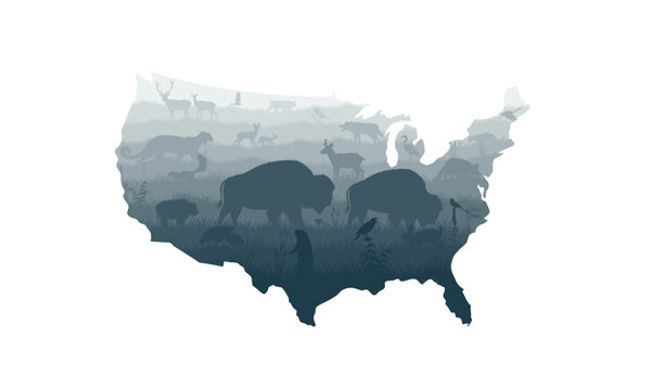 USA map - prarie with grey wolf,  kite, bobcat, fox, western meadowlark , heron, scissor-tailed Flycatcher, Prairie dog, puma, deers and brown zubr buffalo bison