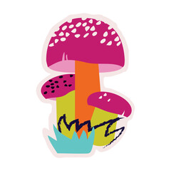 mushrooms in the grass