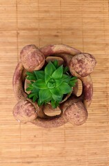 Taking care of nature 