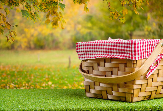 Ecological Outdoor Recreation, Picnic. On A Green Lawn, A Wicker Basket For A Picnic Against The Backdrop Of A Fabulously Beautiful Autumn Nature. Organic Food, Healthy Lifestyle.