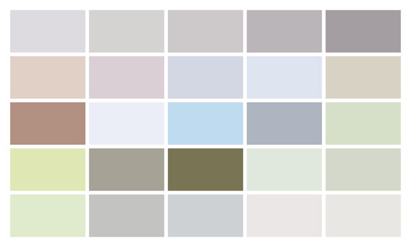 wall color guide soft color design template vector illustration