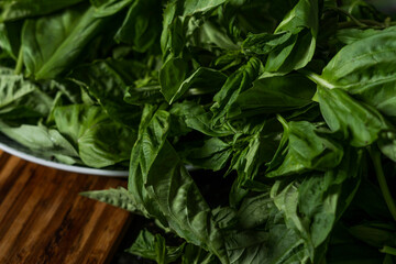 fresh green basil