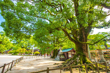 福岡県　太宰府天満宮の風景
