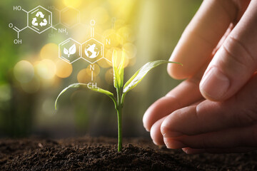 Illustration of chemical formulas and woman protecting young green seedling in soil, closeup