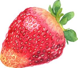Strawberry watercolor hand paint
