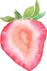 Strawberry watercolor hand paint