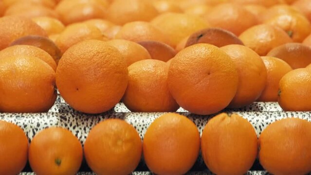 Oranges rolling on grading and sorting machine in industrial packaging plant. 4K