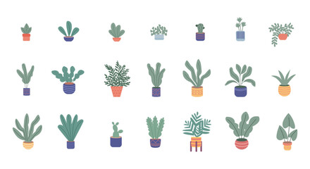 Set of different house plant. Ficus, monstera, protea, pellaea, succulent in pot vase. Scandinavian cozy home decor. Flat vector cartoon illustration isolated on white - 524754838