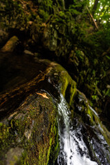 Naklejka na ściany i meble waterfall in the forest