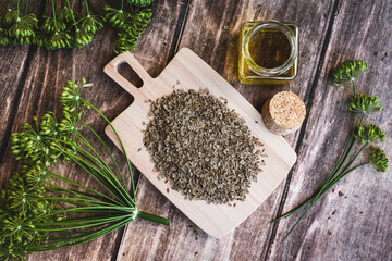 Dill flowers and dry seeds, Anethum graveolens essential cosmetic oil in bottle on wooden background, overhead flat lay - obrazy, fototapety, plakaty