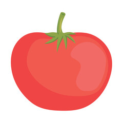 fresh tomato vegetable