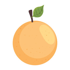 fresh orange citrus fruit