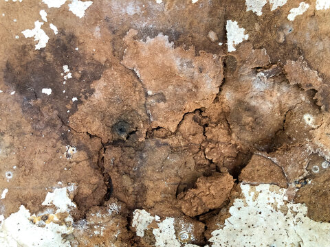 An old destroyed beaver board texture. Copy space for the text and background.