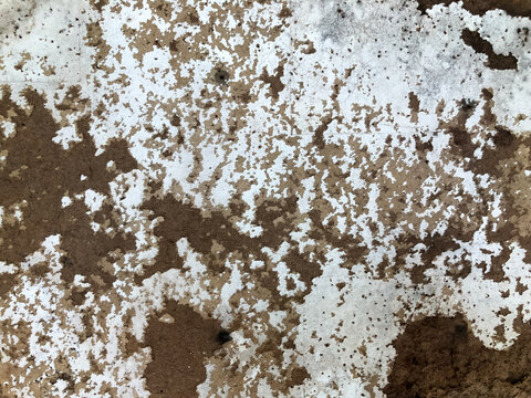 And old destroyed beaver board texture. Copy space for the text and background.