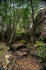 Exploring deep creek reserve in North Narrabeen