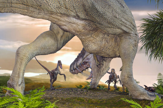 夕日を背景にティラノサウルスが大きな口を開けてデイノニクスと威嚇しあっている