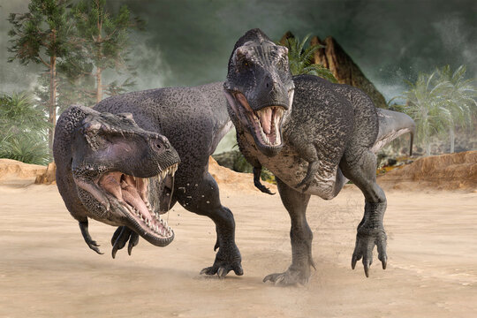 巨大で凶暴なティラノサウルスが獲物を探している
