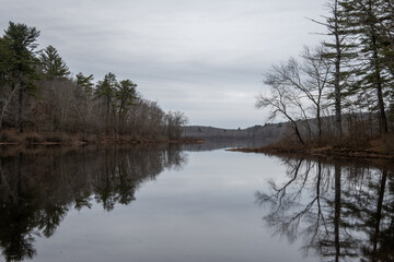 lake in the forest
