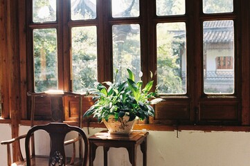 Potted plants in a classical Chinese garden building