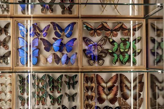 Florence, Italy - July 12, 2022: Visitors and displays at the Gucci Garden Galleria exhibition rooms curated by critic Maria Luisa Frisa in July 2022 inside the historic Palazzo della Mercanzia
