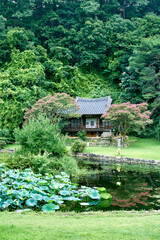한국의 전통적인 정자. 채화정