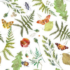 Watercolor illustration. Pattern of butterflies, beetles, leaves, herbs and plant branches. Watercolor freehand drawing of flowers on a white background.