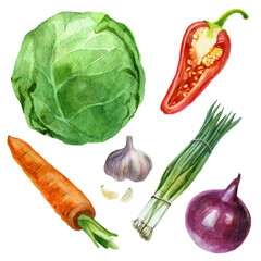 Watercolor illustration, set. Cabbage, onions, carrots, garlic, peppers, green onions. Watercolor drawing of vegetables.