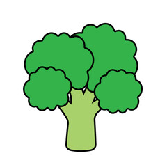 Hand Drawing Broccoli Vector Vegetable Icon Clipart with Outline Stroke, Cabbage on white background