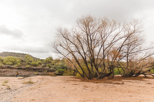 Desert landscape with river, River of water under cloudy gray sky, Sonoran desert water in rainy season, Arizona monsoons