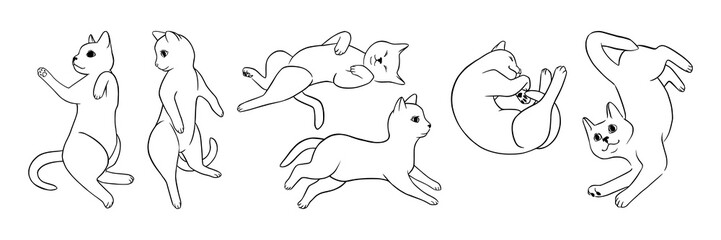 Cat poses doodle set. Monochrome cat sketches. Cute vector illustration
