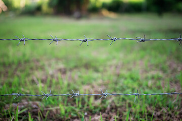 Close-up shot of barbed wire fence with green blurred background : protection concept