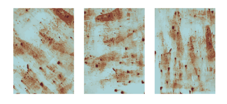 Set of rusted steel plate metal texture background, in A4 size for design work page cover book presentation. brochure layout and flyers poster template. isolated