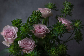 ピンクとグリーンのバラの花　黒背景