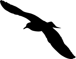 bird silhouette