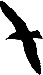 bird silhouette