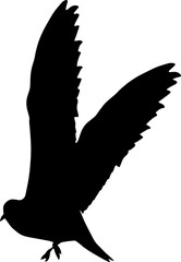 bird silhouette