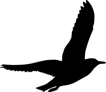 black seagull silhouette flying against white clip art preview