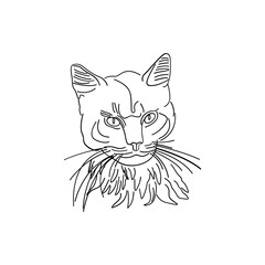 Cat animal sketch art