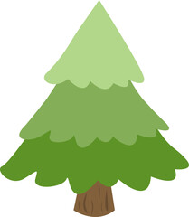 Pine tree