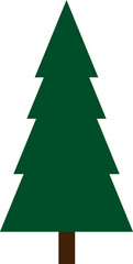 Pine tree