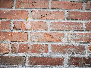 Wall Photos for Portrait Backgrounds or Grungy Graphic Design Elements