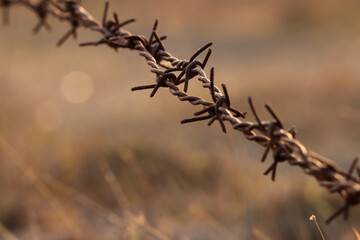 Closeup of barbed wire. Barb wire. Natural background. Line background. Beautiful background. Abstract design. Bokeh. Bokeh background.