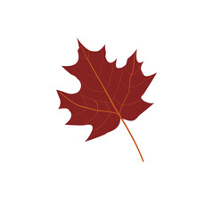 Autumn pine cones and maple leaves