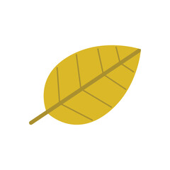 Autumn pine cones and maple leaves