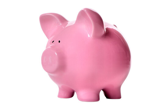 Pink piggy bank isolated side view transparent background photo PNG file