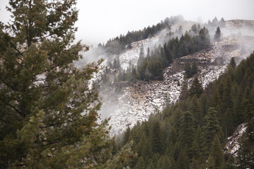 Fog on snow dusted mountain with forest