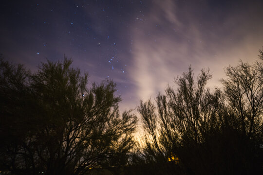 Starry night sky over desert trees with clouds and light