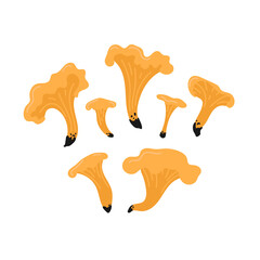 Cartoon forest mushrooms chanterelle set