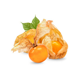 Cape gooseberry, physalis with leaves isolated on transparent background (.PNG)